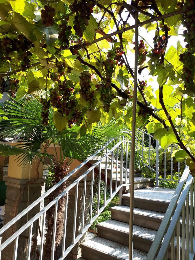 Old House Apartment With Garden Area Mtsʼkhetʼa 외부 사진
